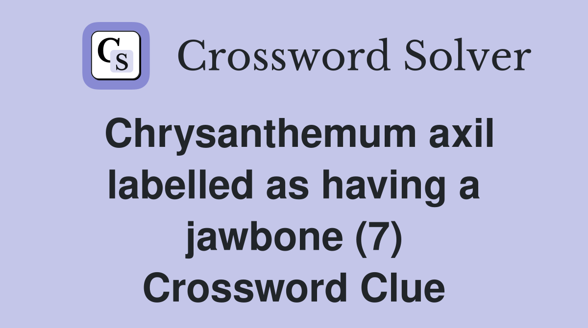 Chrysanthemum axil labelled as having a jawbone (7) Crossword Clue