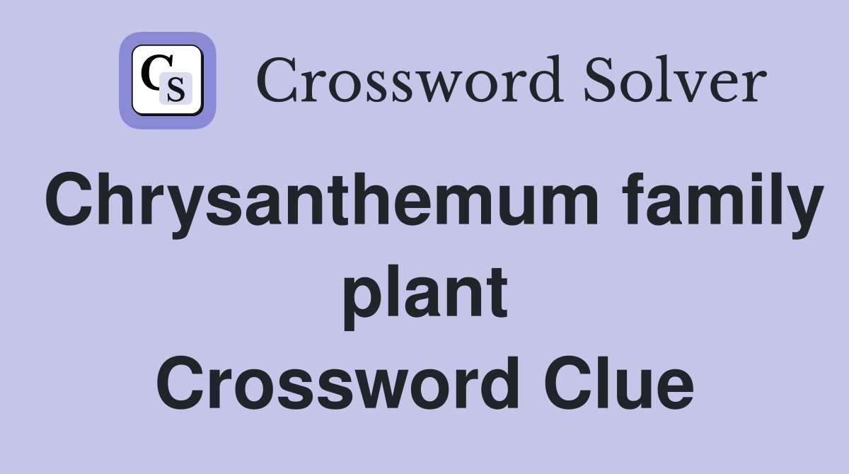 Chrysanthemum family plant Crossword Clue