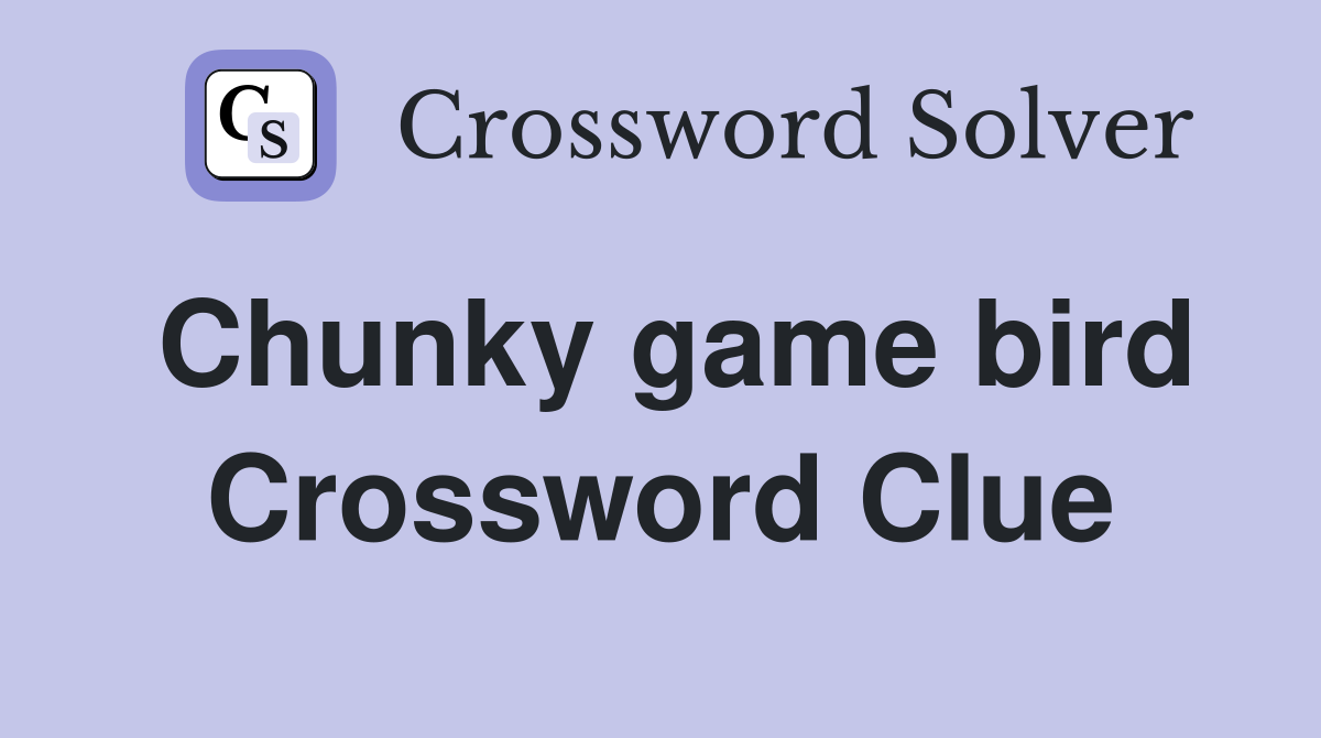 Chunky game bird Crossword Clue