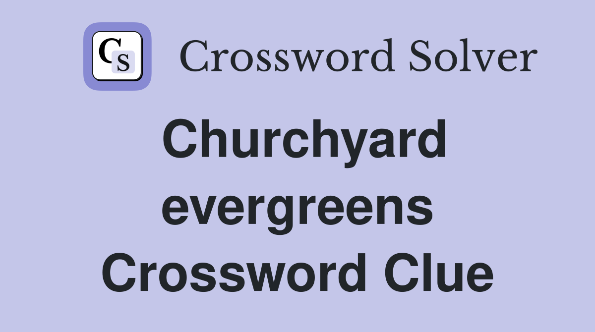 Churchyard evergreens Crossword Clue