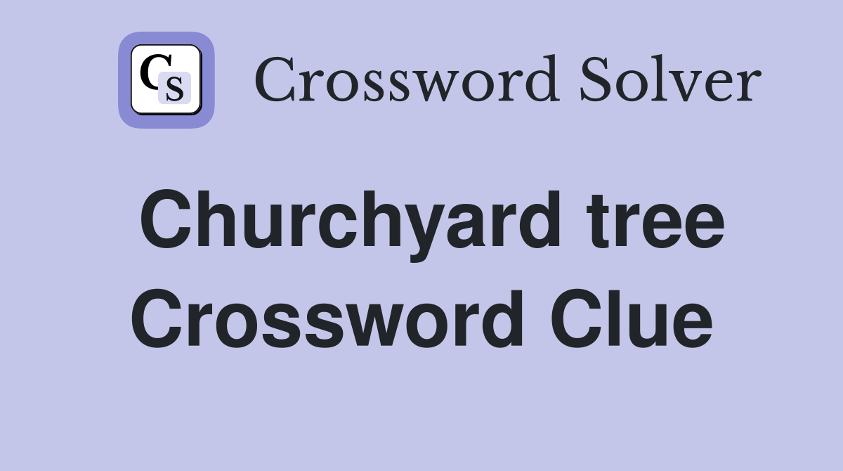 Churchyard tree Crossword Clue