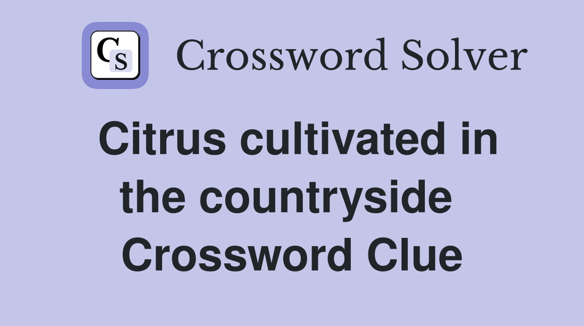 Citrus cultivated in the countryside  Crossword Clue