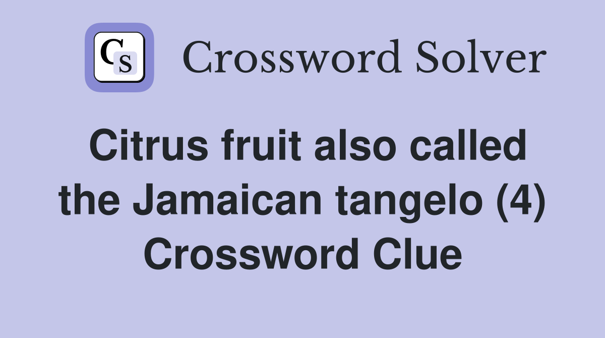 Citrus fruit also called the Jamaican tangelo (4) Crossword Clue