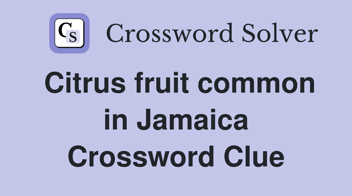Citrus fruit common in Jamaica Crossword Clue