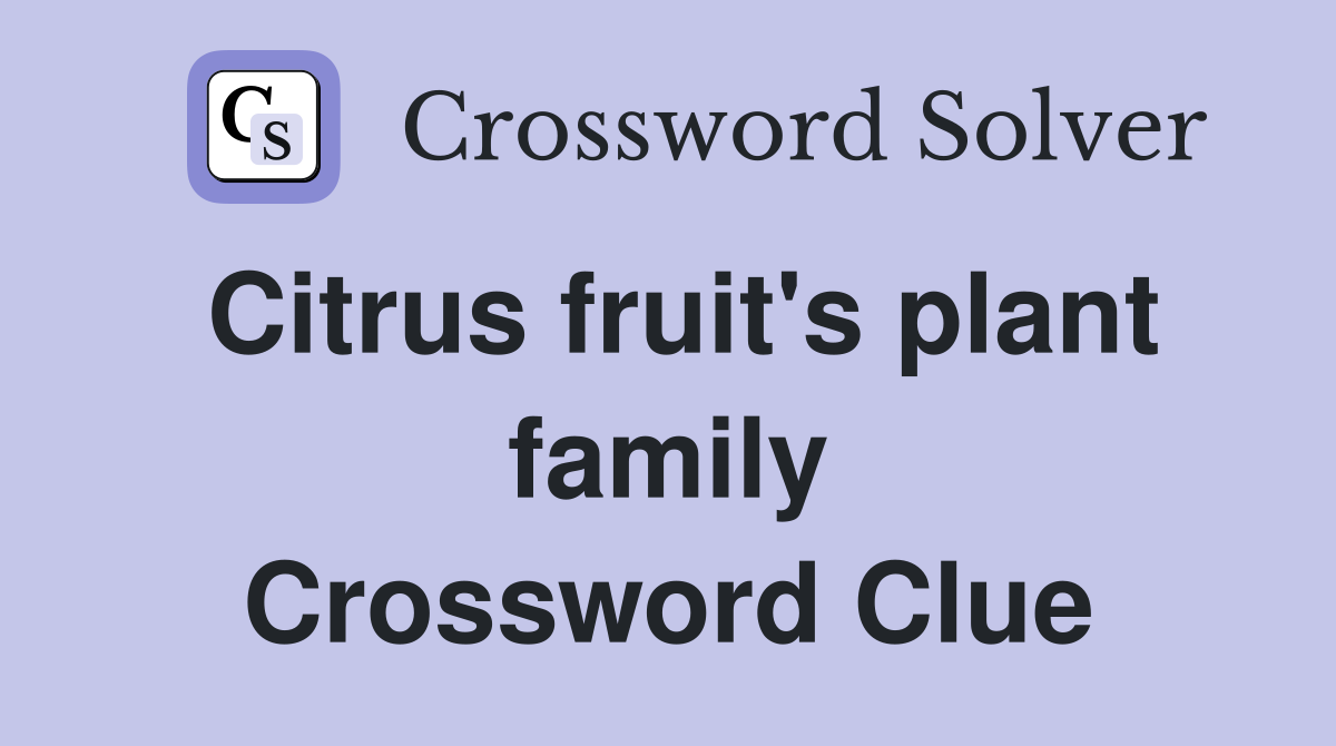 Citrus fruit's plant family Crossword Clue