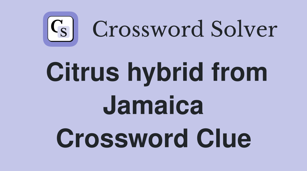 Citrus hybrid from Jamaica Crossword Clue