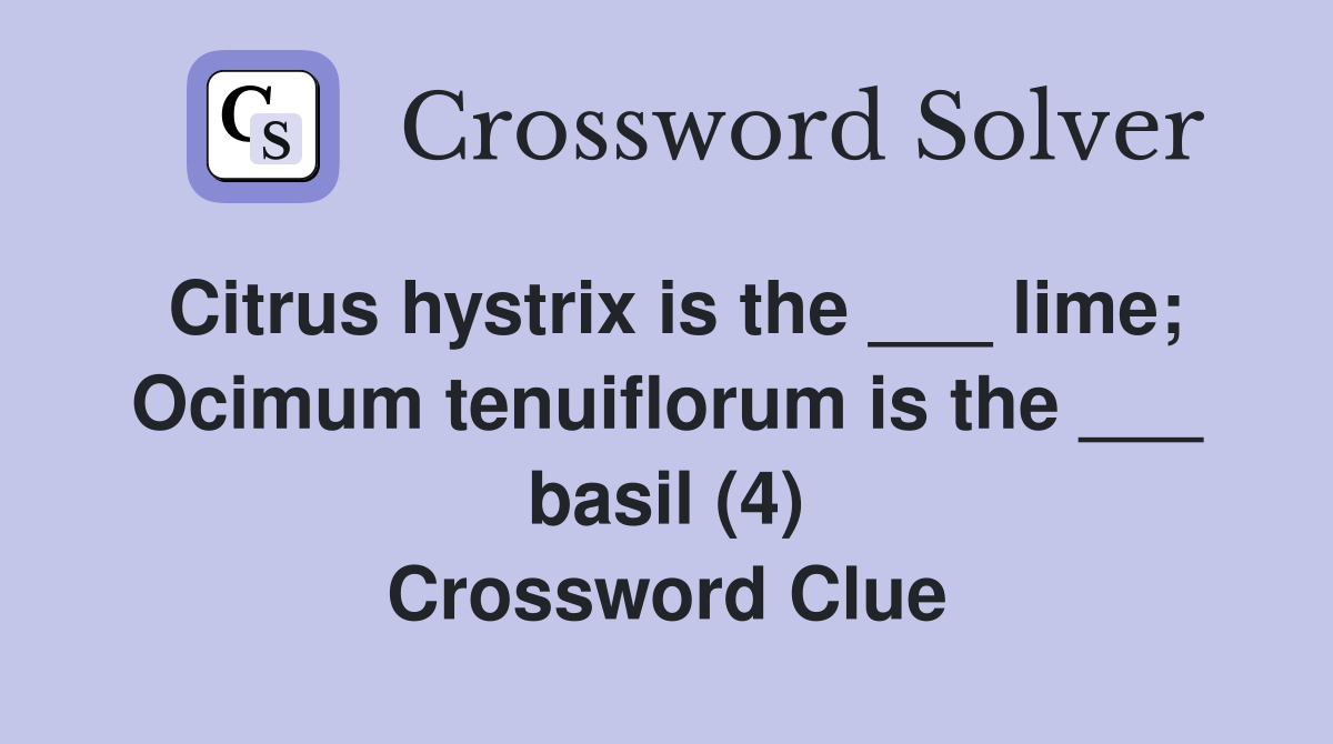 Citrus hystrix is the ___ lime; Ocimum tenuiflorum is the ___ basil (4) Crossword Clue