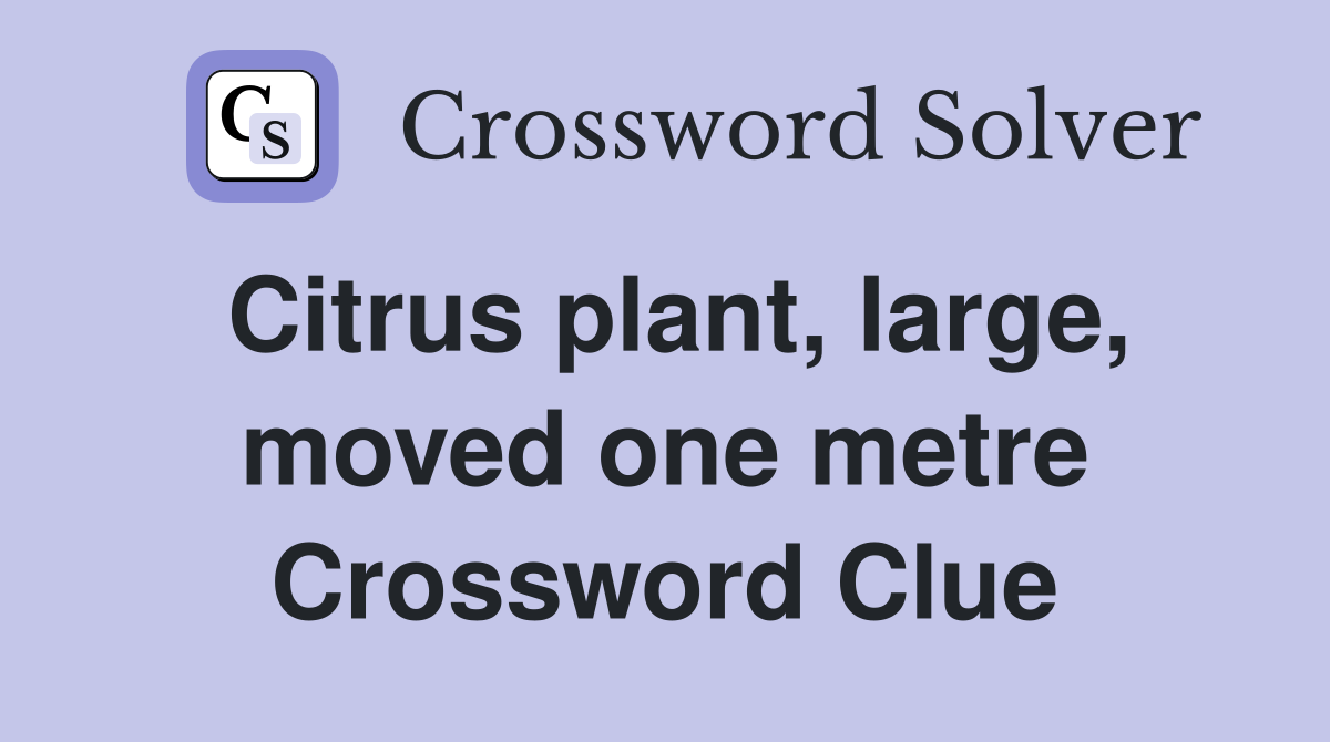 Citrus plant, large, moved one metre Crossword Clue