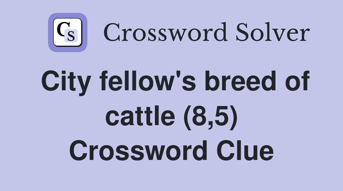 City fellow's breed of cattle (8,5) Crossword Clue