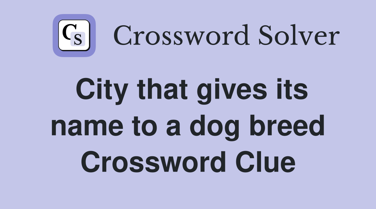 City that gives its name to a dog breed Crossword Clue