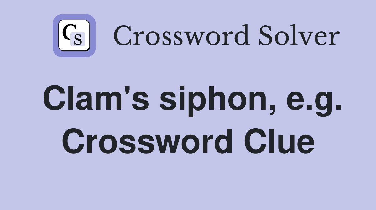 Clam's siphon, e.g. Crossword Clue