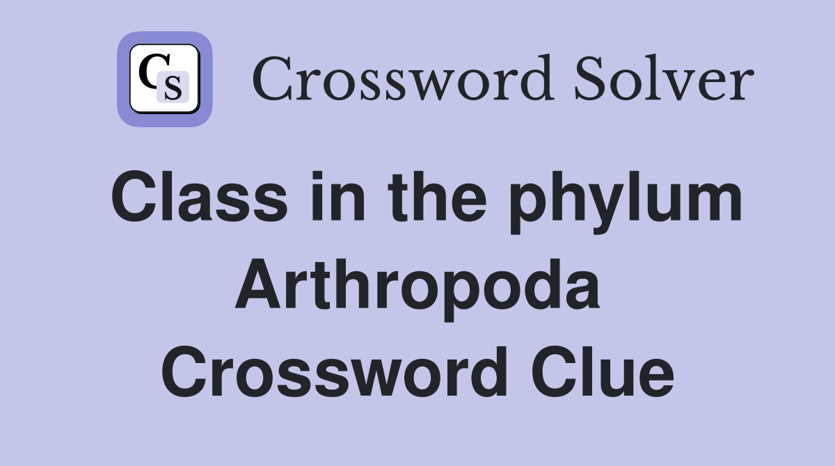 Class in the phylum Arthropoda Crossword Clue