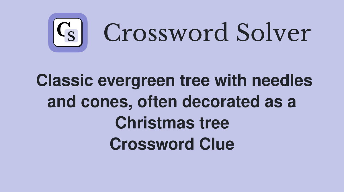 Classic evergreen tree with needles and cones, often decorated as a Christmas tree Crossword Clue
