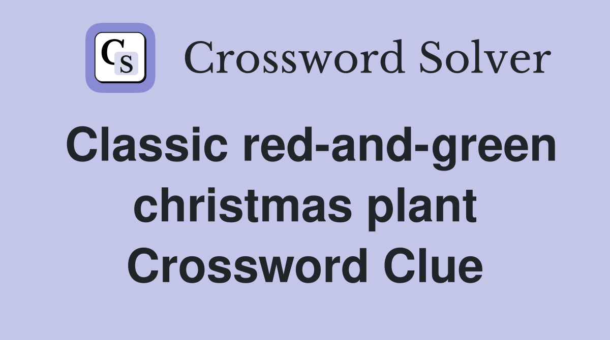 Classic red-and-green christmas plant Crossword Clue