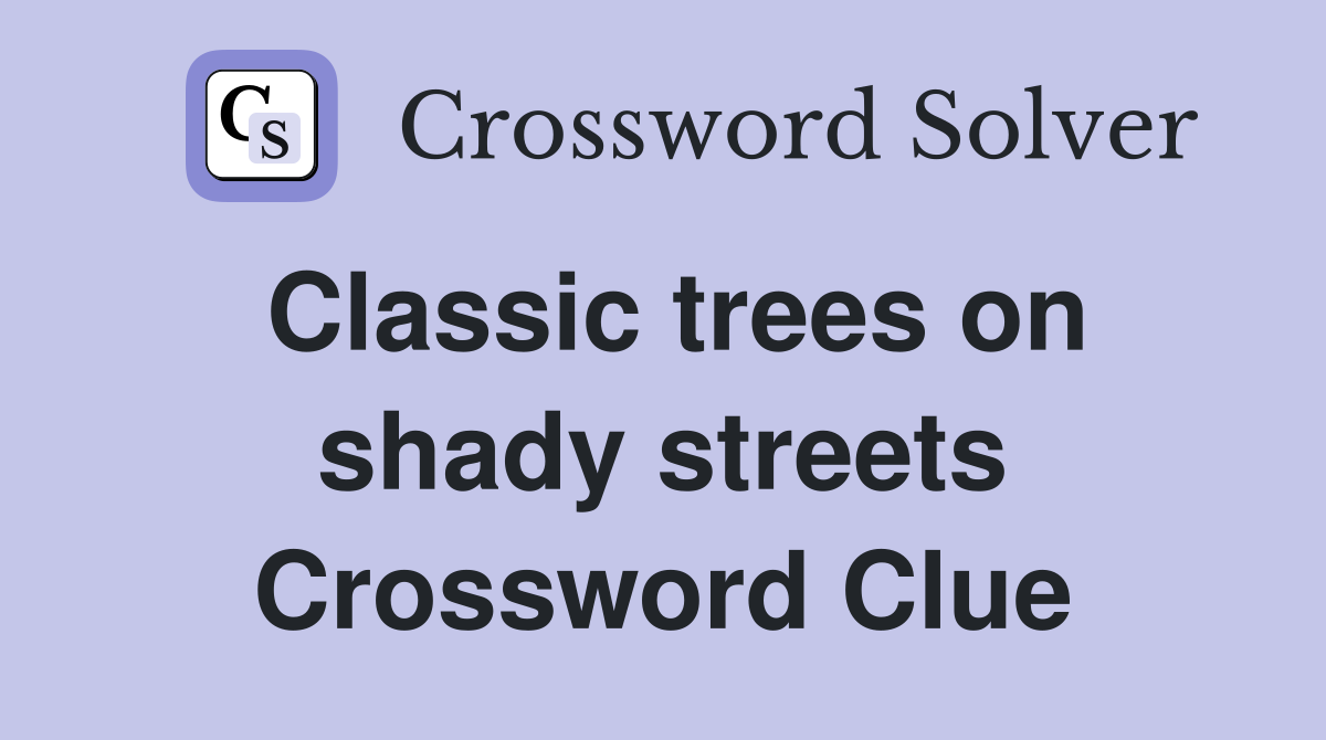 Classic trees on shady streets Crossword Clue