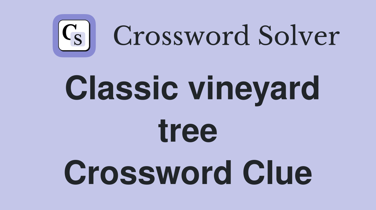 Classic vineyard tree Crossword Clue