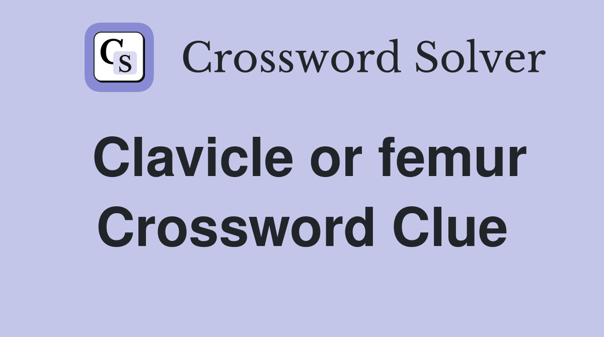 Clavicle or femur Crossword Clue