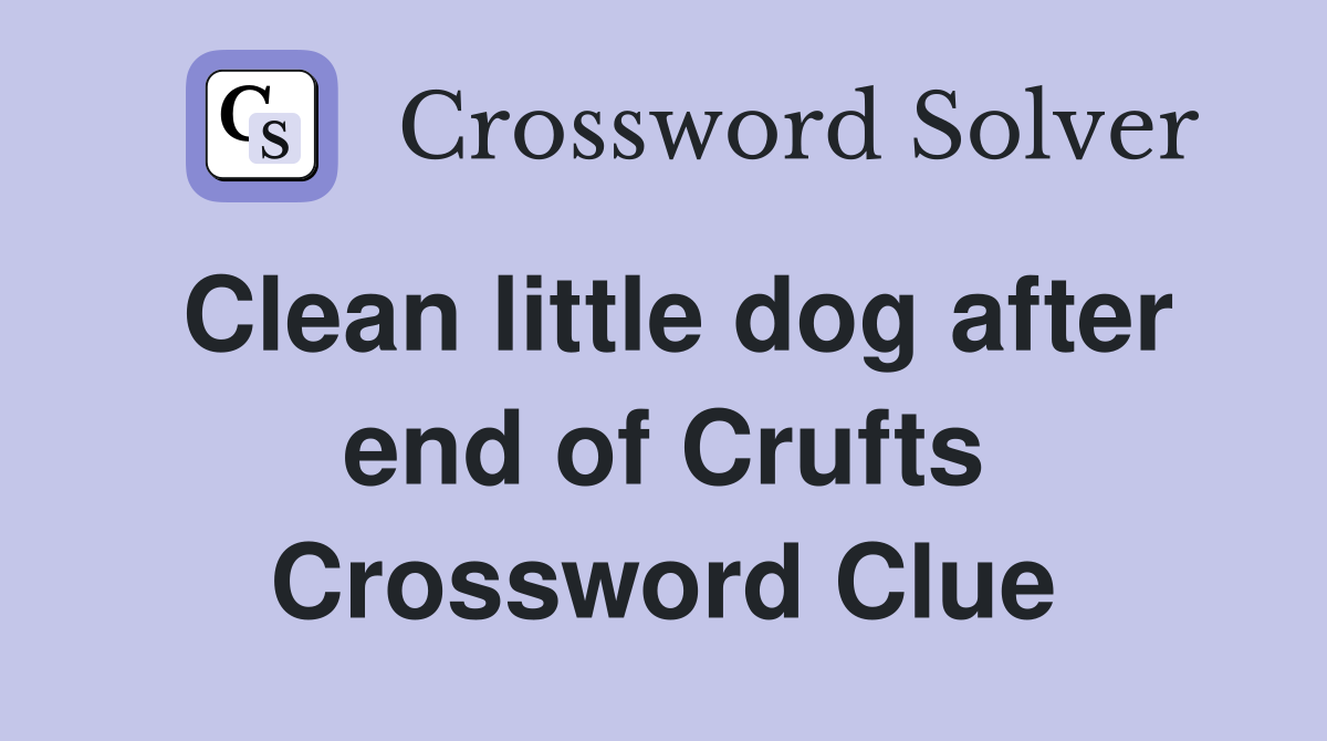 Clean little dog after end of Crufts Crossword Clue