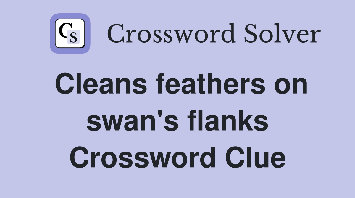 Cleans feathers on swan's flanks Crossword Clue