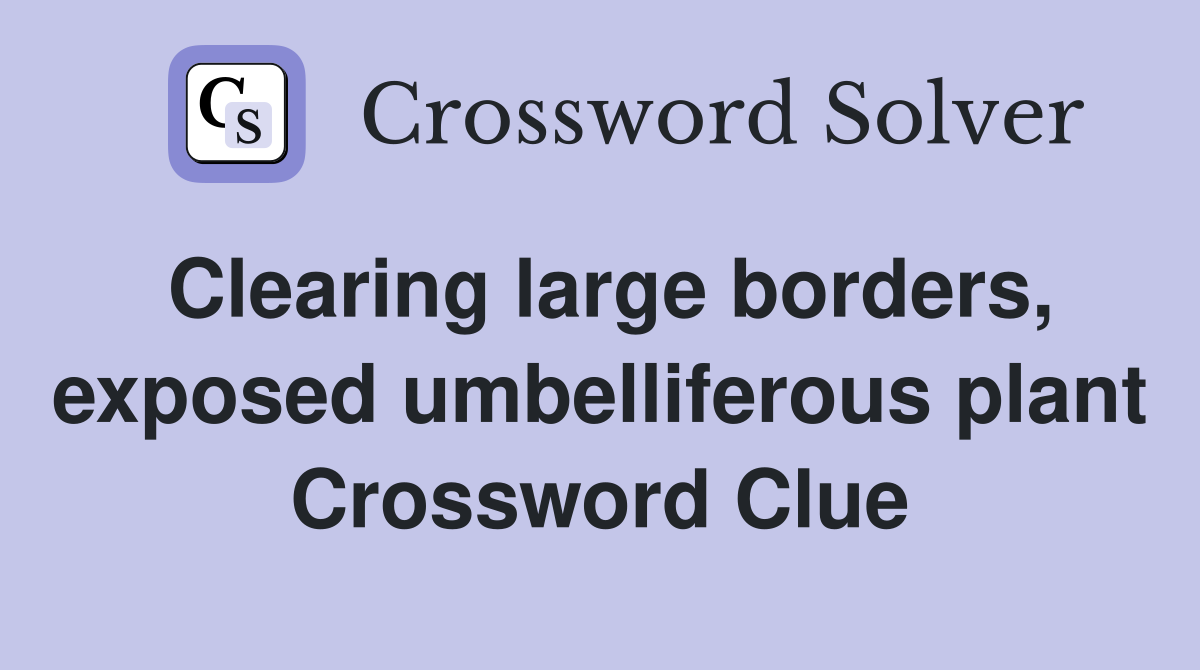 Clearing large borders, exposed umbelliferous plant Crossword Clue