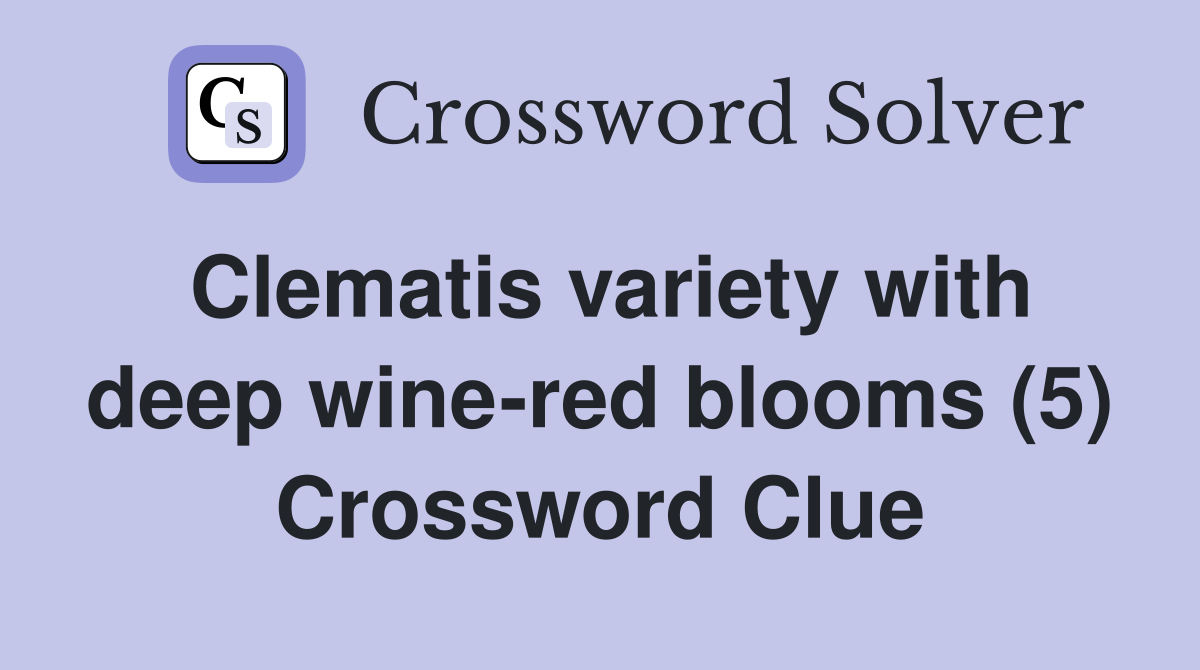 Clematis variety with deep wine-red blooms (5) Crossword Clue
