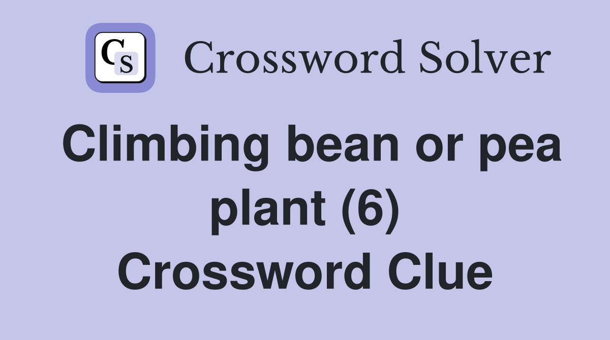 Climbing bean or pea plant (6) Crossword Clue