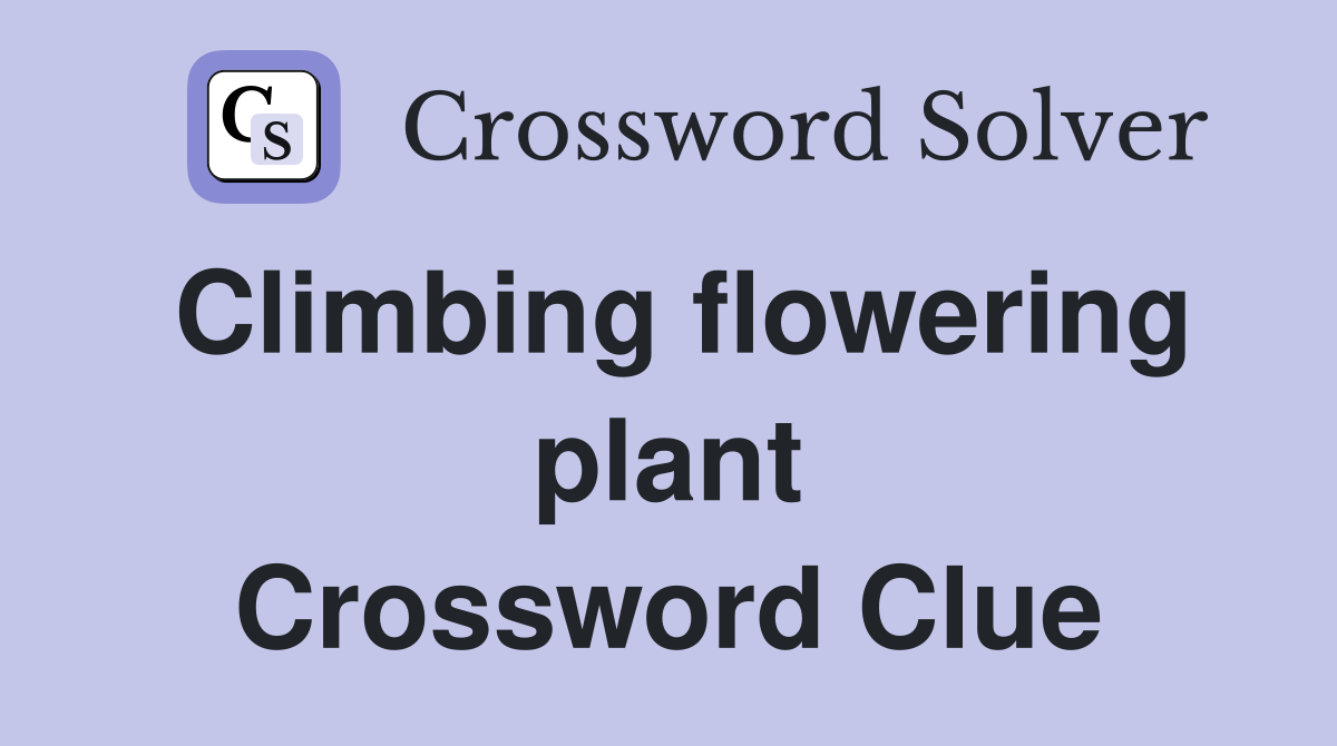 Climbing flowering plant Crossword Clue