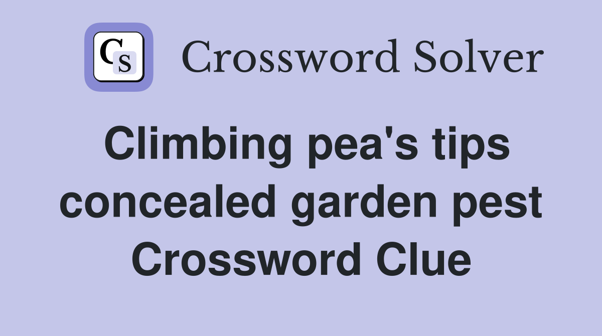 Climbing pea's tips concealed garden pest Crossword Clue