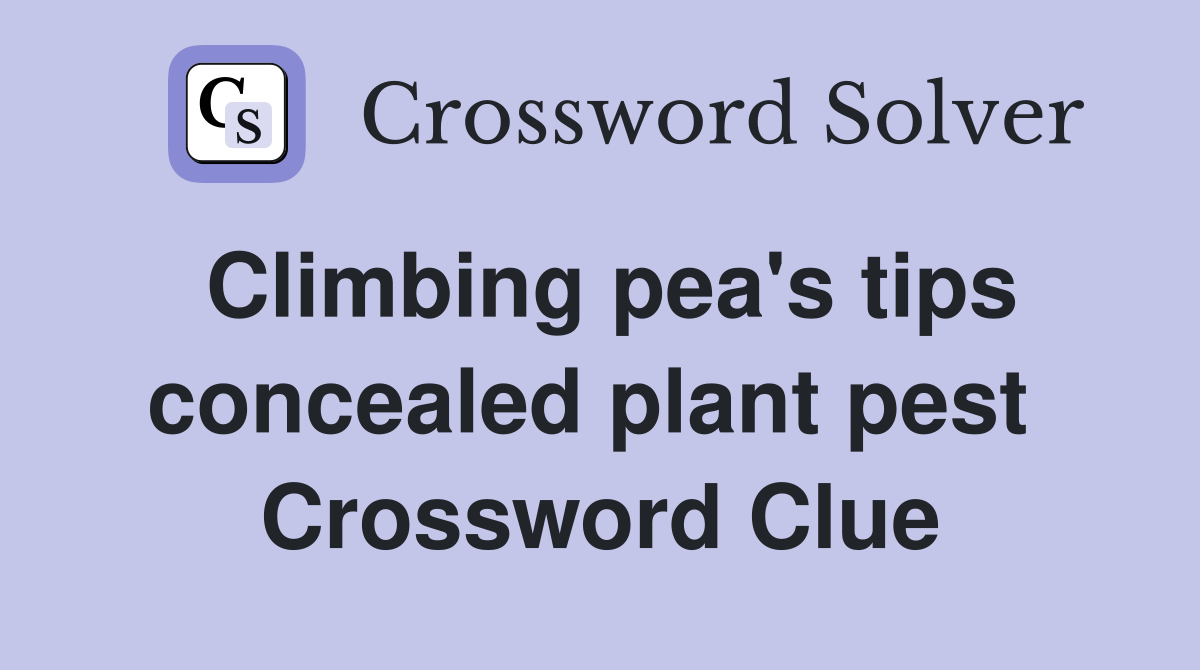 Climbing pea's tips concealed plant pest  Crossword Clue