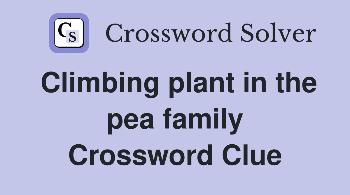 Climbing plant in the pea family Crossword Clue