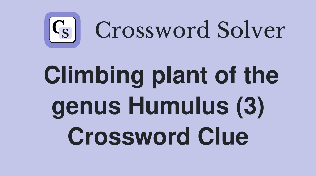 Climbing plant of the genus Humulus (3) Crossword Clue