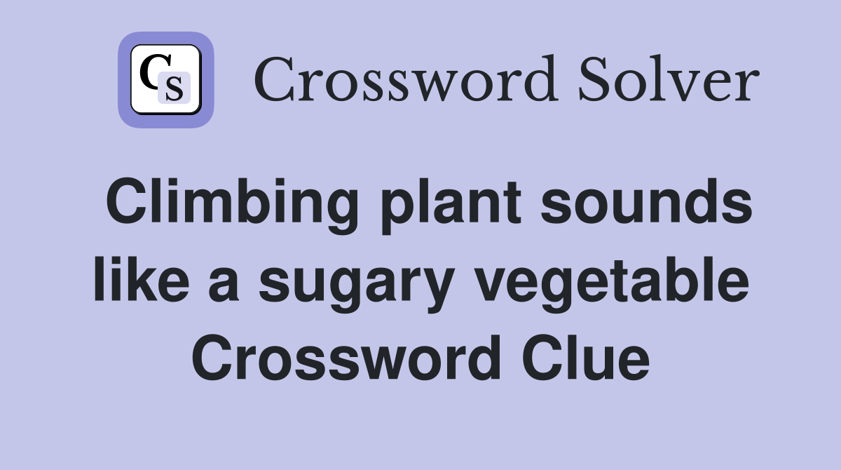Climbing plant sounds like a sugary vegetable Crossword Clue