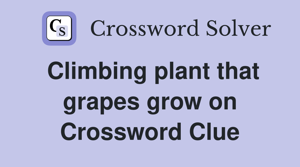 Climbing plant that grapes grow on Crossword Clue