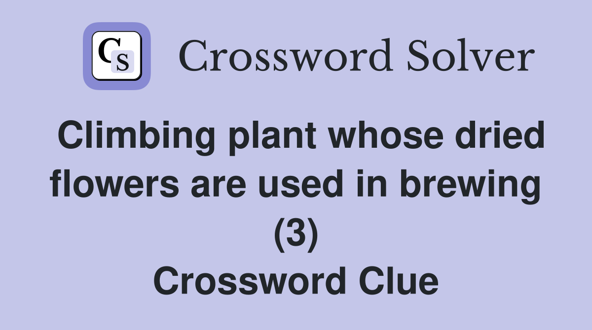 Climbing plant whose dried flowers are used in brewing (3) Crossword Clue