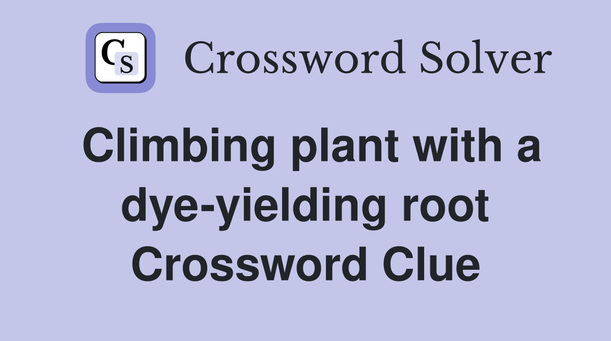 Climbing plant with a dye-yielding root Crossword Clue