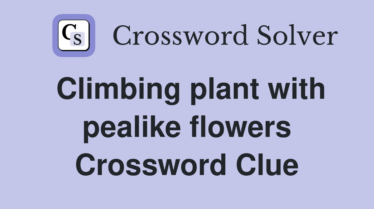 Climbing plant with pealike flowers Crossword Clue