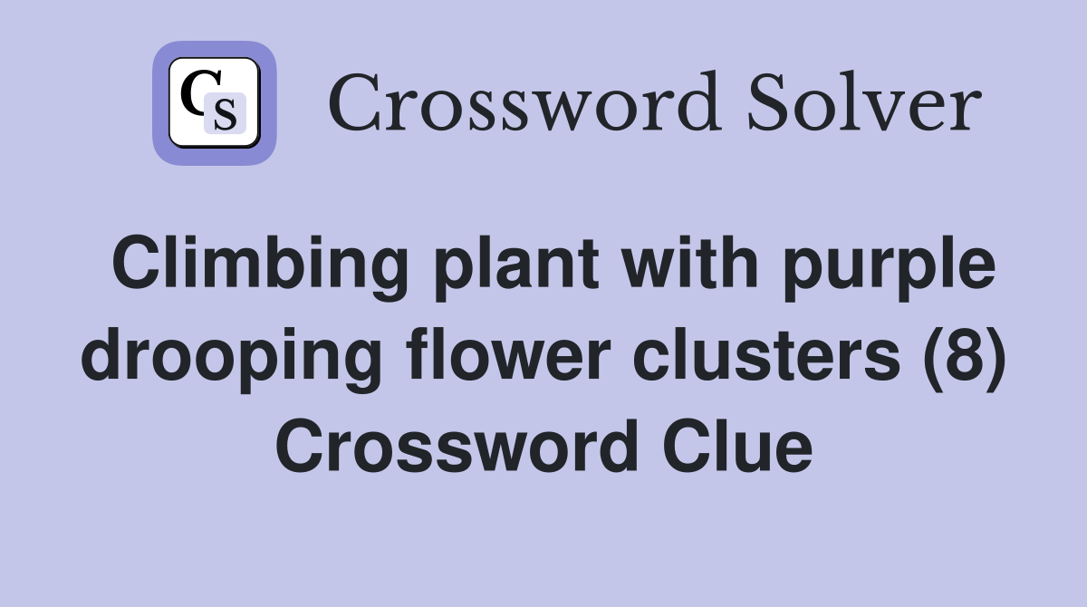 Climbing plant with purple drooping flower clusters (8) Crossword Clue