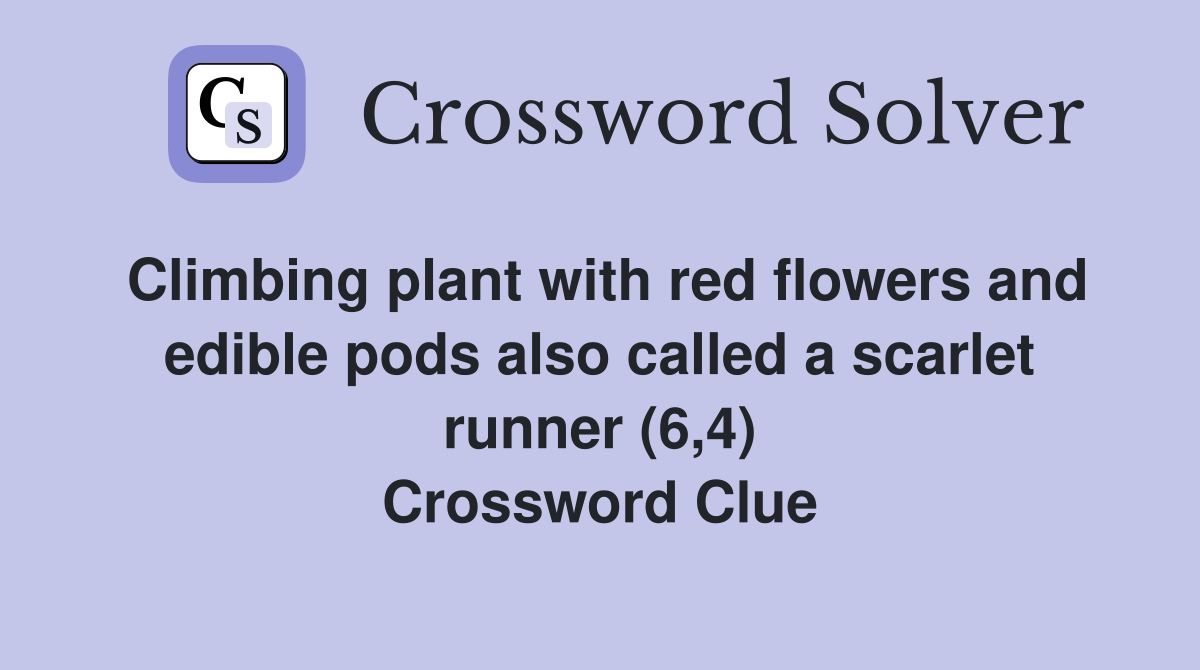Climbing plant with red flowers and edible pods also called a scarlet runner (6,4) Crossword Clue