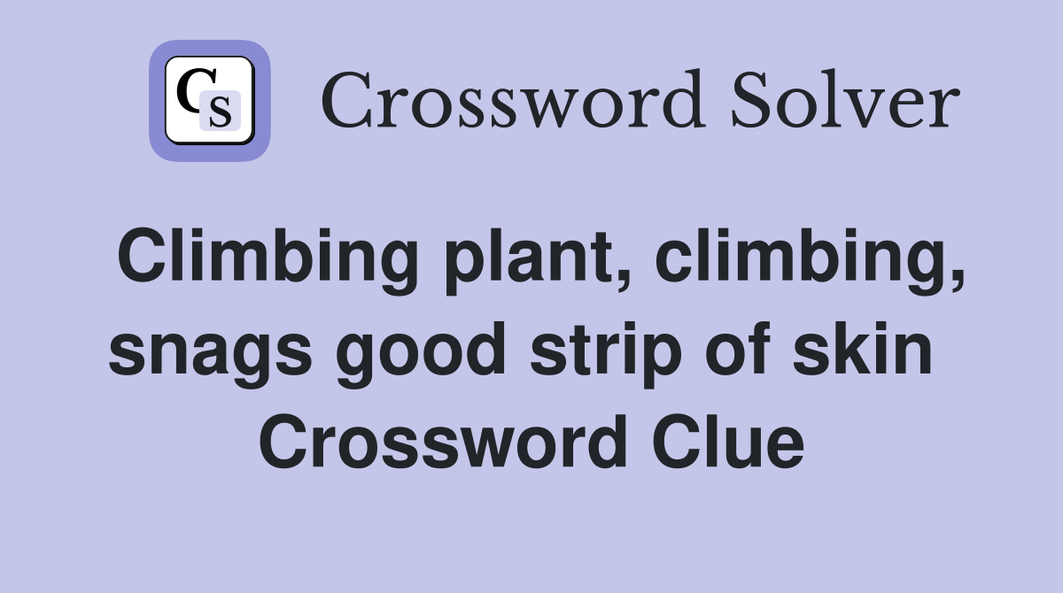 Climbing plant, climbing, snags good strip of skin  Crossword Clue
