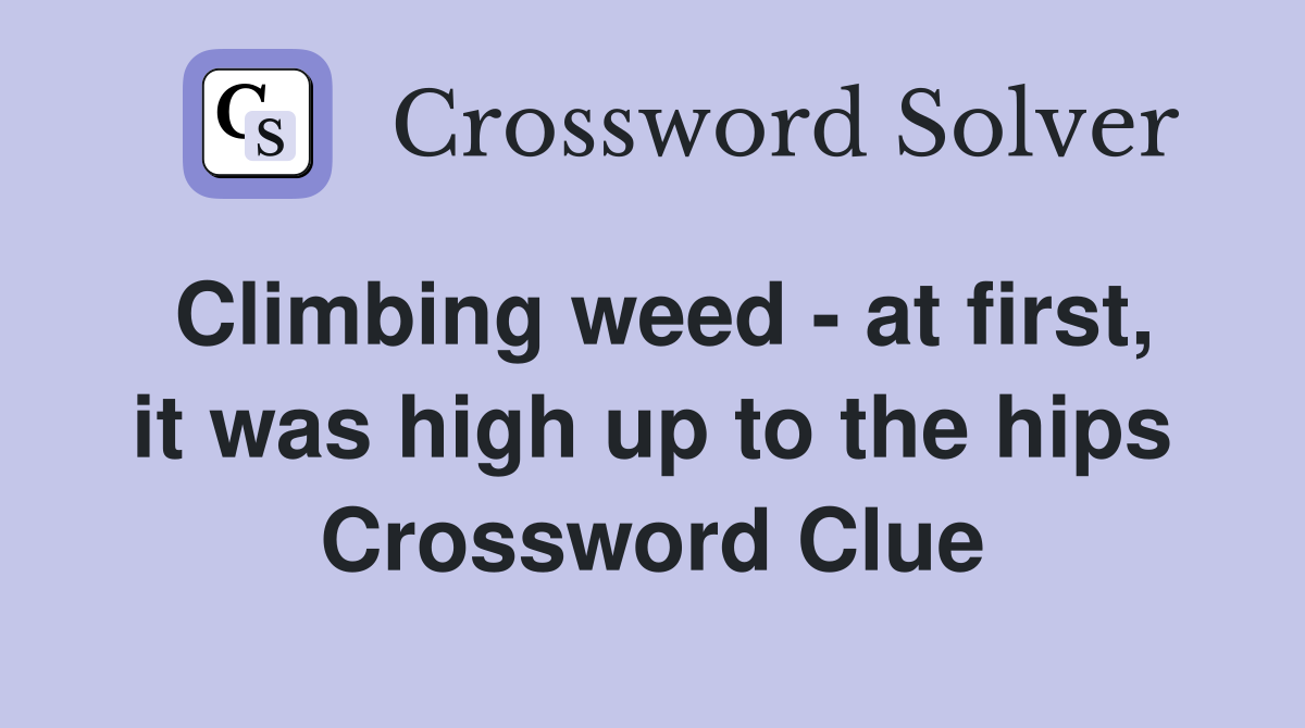 Climbing weed - at first, it was high up to the hips Crossword Clue