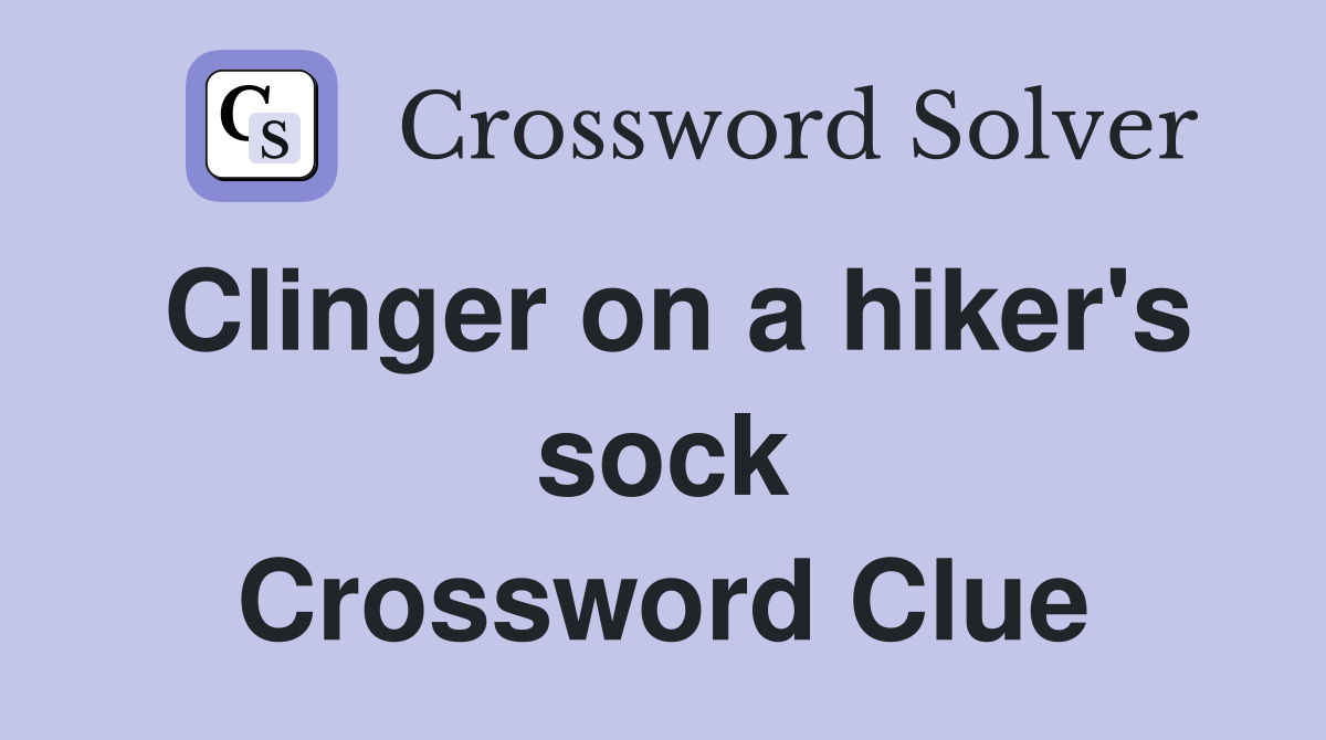 Clinger on a hiker's sock Crossword Clue
