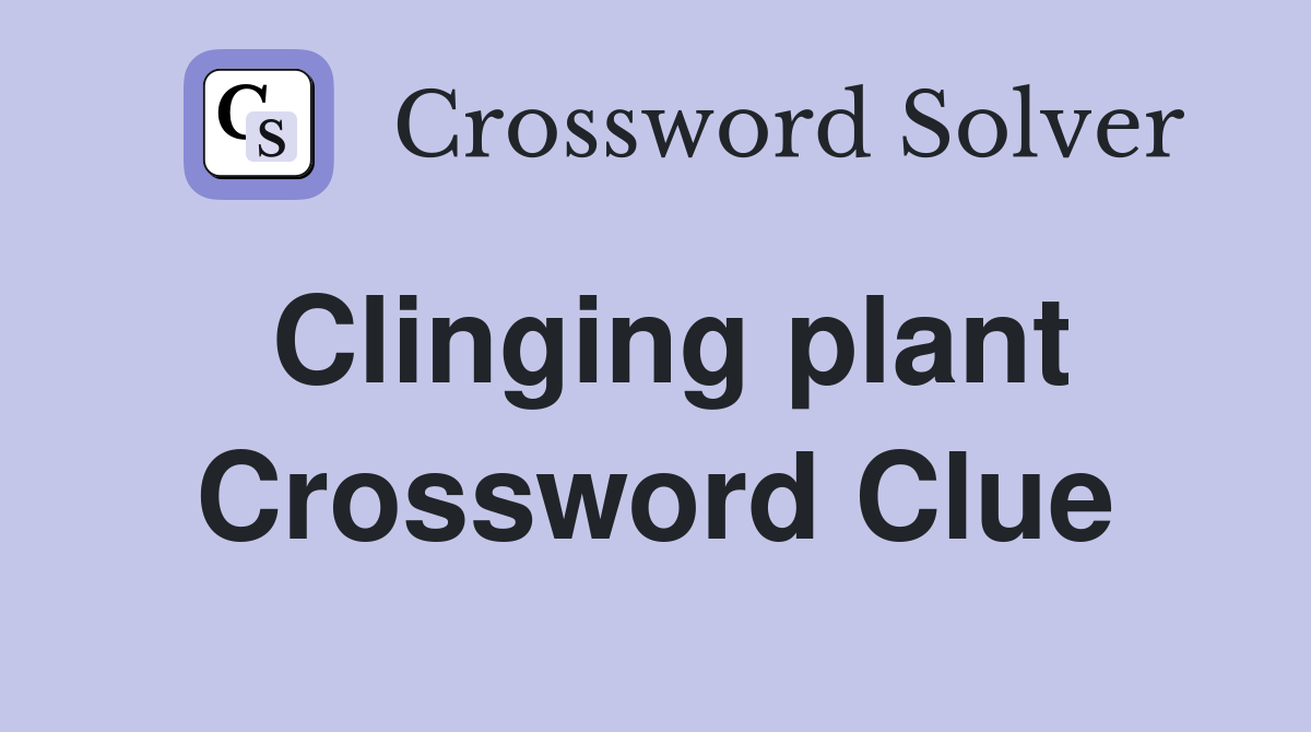 Clinging plant Crossword Clue