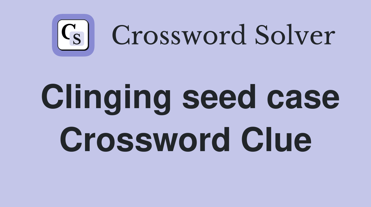 Clinging seed case Crossword Clue