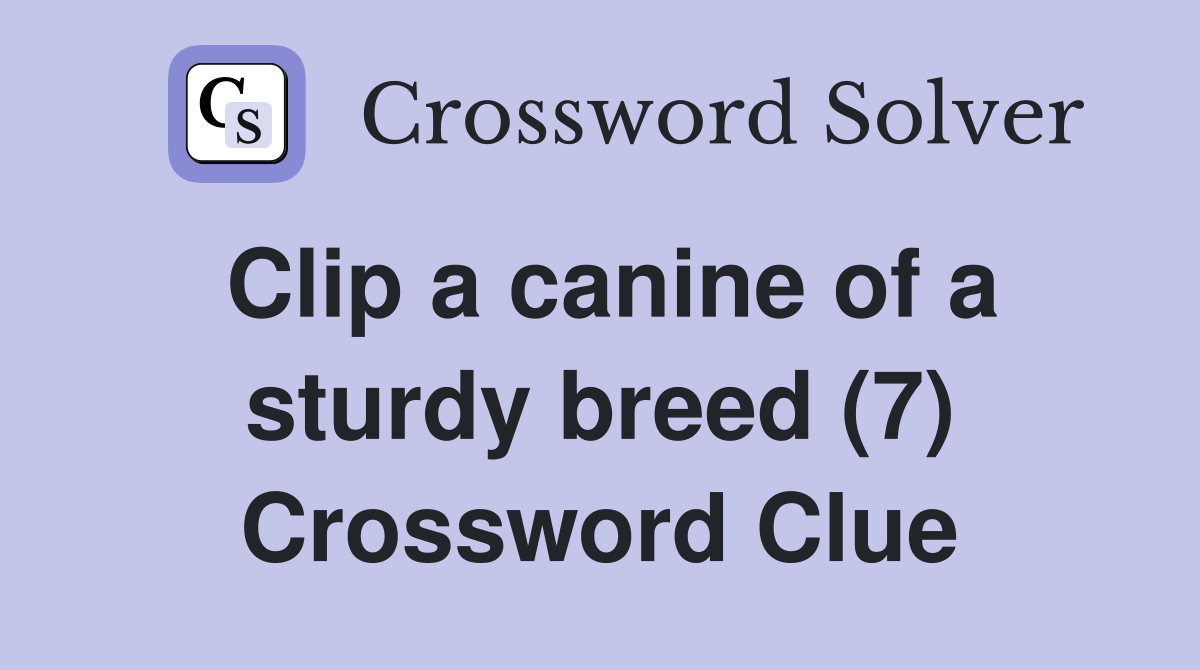 Clip a canine of a sturdy breed (7) Crossword Clue