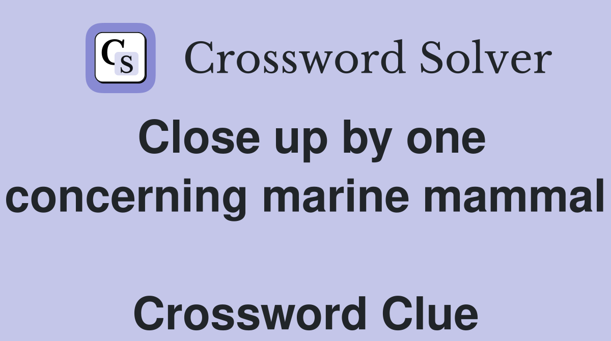 Close up by one concerning marine mammal  Crossword Clue