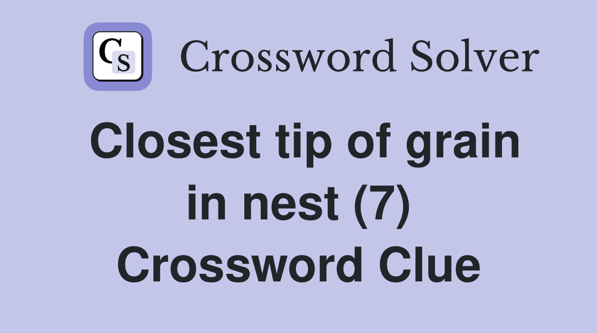 Closest tip of grain in nest (7) Crossword Clue