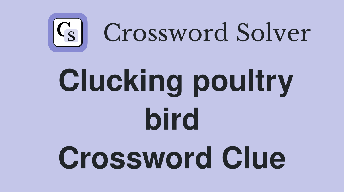 Clucking poultry bird Crossword Clue