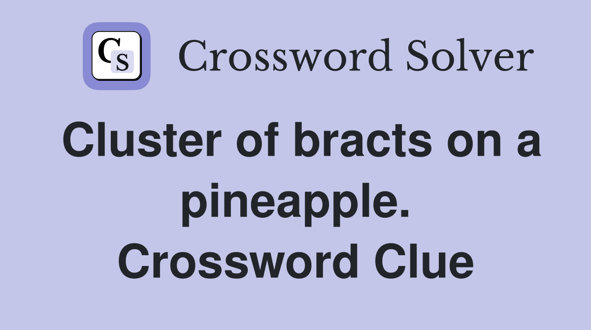 Cluster of bracts on a pineapple. Crossword Clue