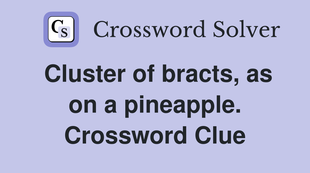 Cluster of bracts, as on a pineapple. Crossword Clue