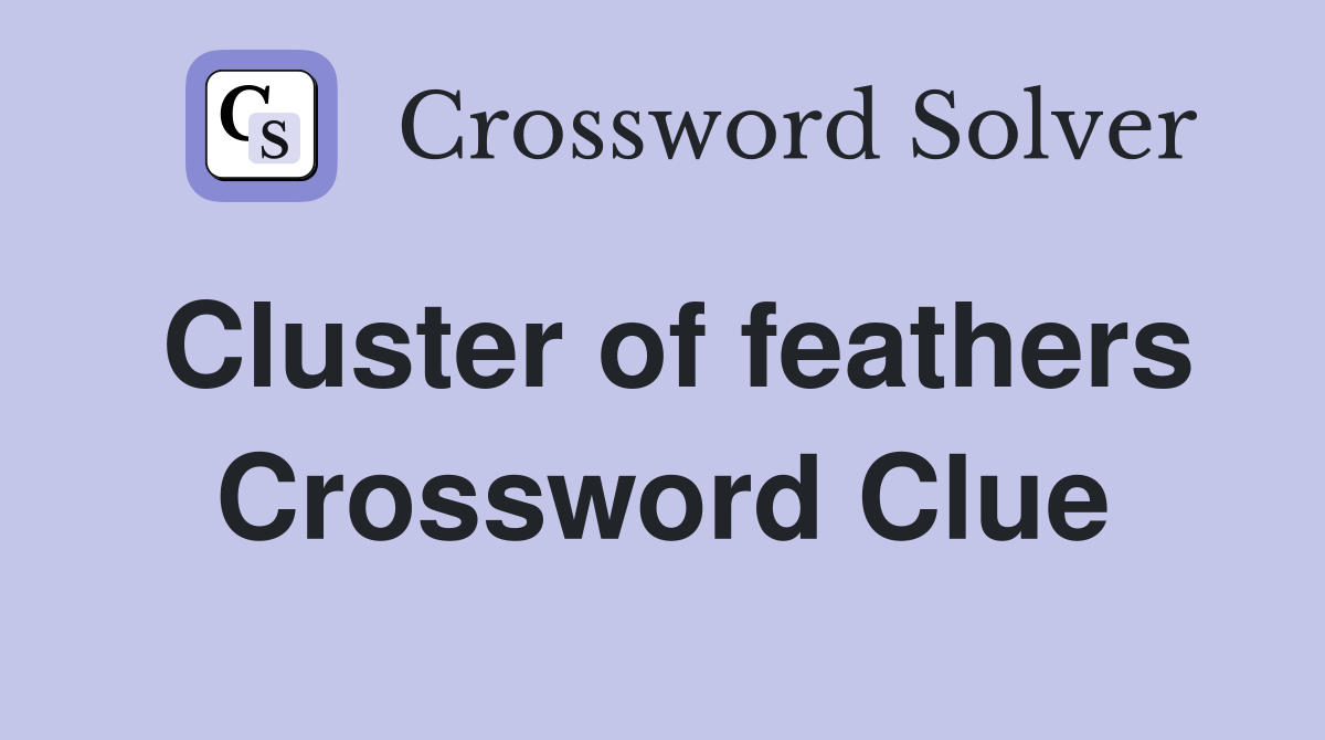 Cluster of feathers Crossword Clue